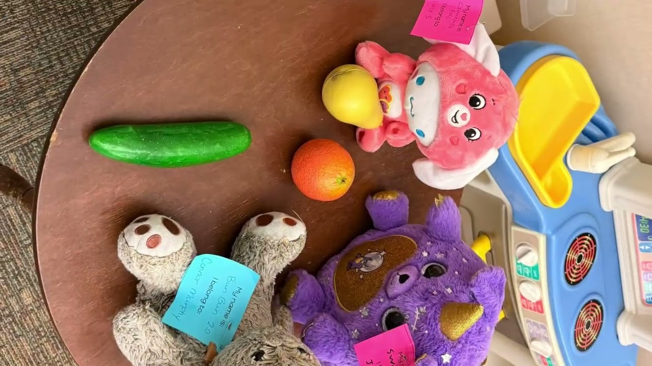 Lincoln  Stuffy Sleepover 2026