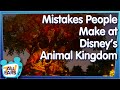 Don't Make These Mistakes in Disney's Animal Kingdom!