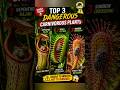 “Dangerous Plants That Eat Insects! 😳 “Top 3 Killer carnivorous Plants You Won’t Believe Exist 😱