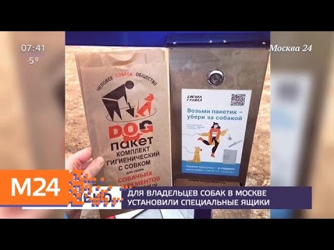 Смотреть фото Для владельцев собак в Москве установили специальные ящики - Москва 24 новости россия москва Смотреть фото Для владельцев собак в Москве установили специальные ящики - Москва 24 новости россия москва