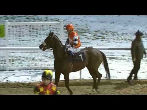 R5 WOLVERHAMPTON UK 06 JAN 2026 