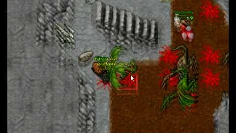 TrueTibia Dragon Hunt