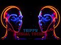 Trippy minimal techno mix 2024 by trippy cat music