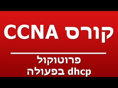 פרוטוקול dhcp בפעולה