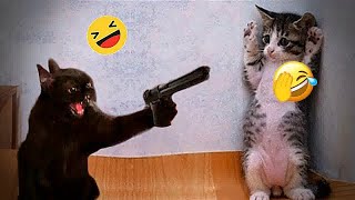 😅😸 Best Cats and Dogs Videos 🐈🐈 Best Funny Animal Videos # 24