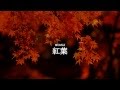 (DTM)　紅葉-MOMIJI- 　(オリジナル曲)