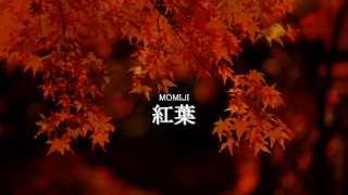 (DTM)　紅葉-MOMIJI- 　(オリジナル曲)