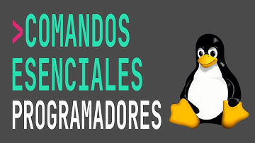 Comandos básicos para programadores | Linux