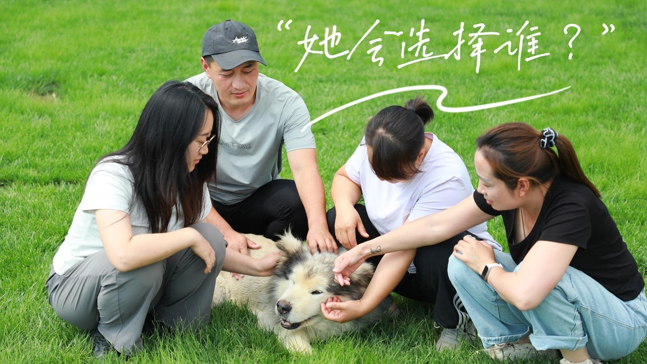 一只十岁的老狗,当面对新主人和老主人的时候牠会更亲谁?\Does a ten-year-old dog prefer its new ...