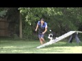 Obi (Sheepadoodle) Puppy Camp Dog Training Video Obi (Sheepadoodle) Puppy Camp Dog Training Video