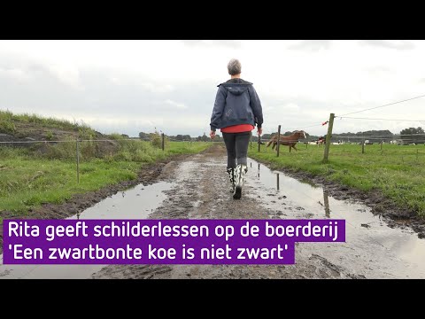 De melkrobot maakte Rita overbodig, dus nu geeft ze schildercursussen op de boerderij - De Boer Is …