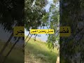 Patience Explore MyPhotography ListenToUs Miracles Like Trend Duet TikTok TikTokTrend 