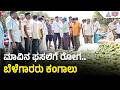 ಮಾವಿನ ನಾಡಿನಲ್ಲಿ ಬಿಸಿಲಿನ ಹಾವಳಿ: ಒಣಗಿ ಉದುರಿದ ಮಾವಿನ ಫಸಲು | Kolar Mango Farming | Karnataka Heatwave