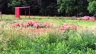 Information Anschuetz Farm News