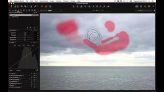 Capture One Pro 9 Webinar | New Local Adjustment Tools