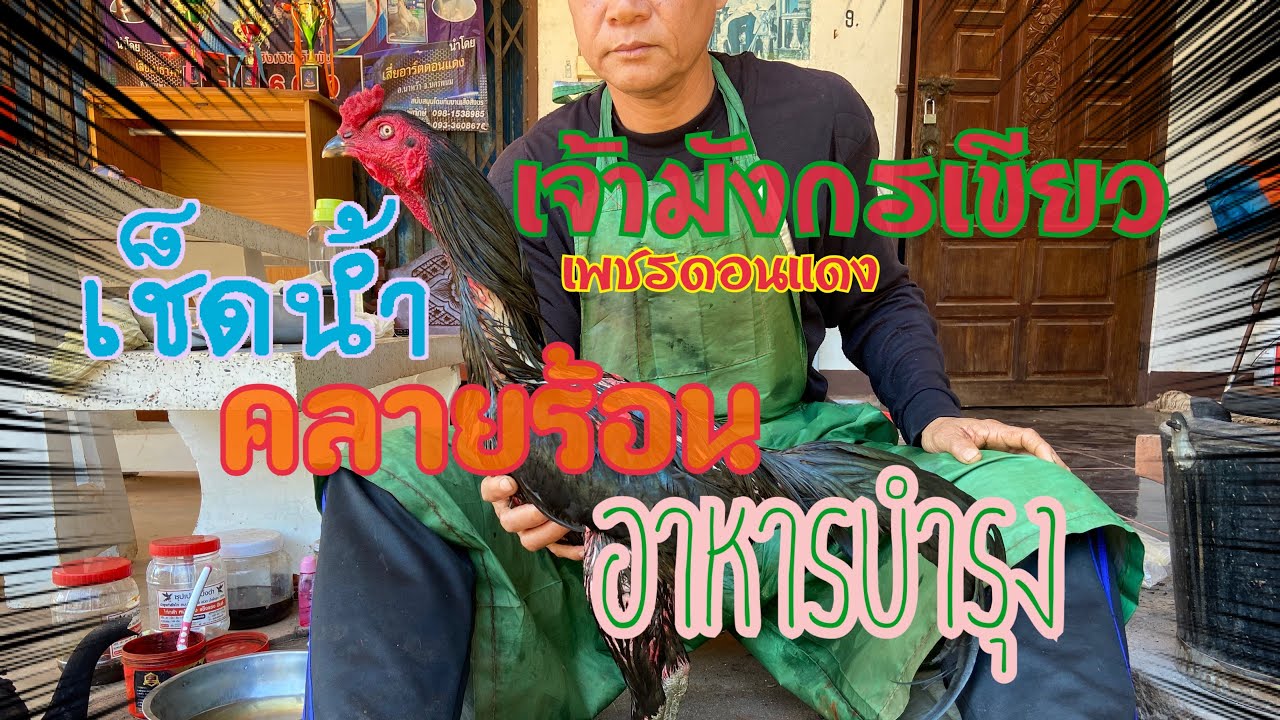 เช็ดน้ำให้คลายร้อนเจ้ามังกรเขียว