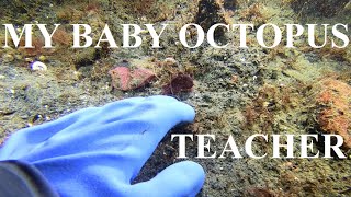 My Baby Octopus Teacher