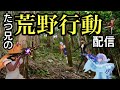 荒野行動 switch版 初見さん初心者歓迎 #初見歓迎 #雑談 #初見 #初心#shorts #荒野行動 #switch #iphone #スマホゲーム