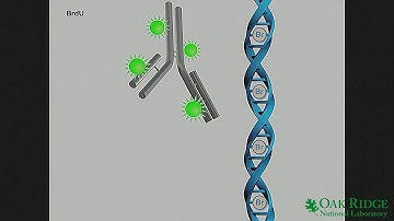 K. Barry Sharpless - New Developments in Click Chemistry