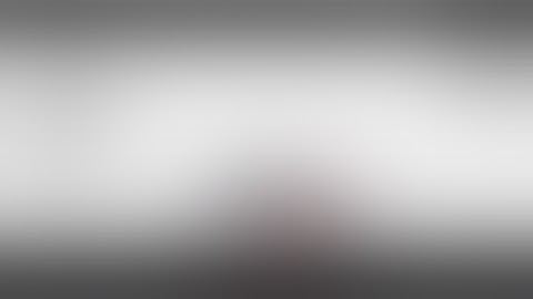 Cheetah Creature On Evolution Simulator