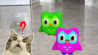 Top Duolingo Episodes You Can’t Miss! 👀 😂