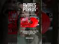 México late al ritmo de  'Amores Perros', el soundtrack en vinilo. Pre-ordena en udiscover.mx 🔥