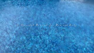 [50 MIN] 🌊 Babymoon Escape at Home | Ocean Resort Ambience & Relaxing Classical Music