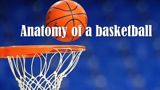 Anatomy of a Basketball