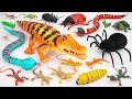 ZURU ROBO ALIVE COLLECTION | UNBOXING Robot Huge Crocodile, New Robo Alive Giant Snake creepers