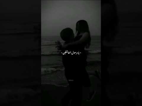 قلبي في هواك هايم اغاني اغنية موسيقى لك 