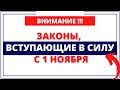 ВАЖНО ЗНАТЬ!! Законы, вступающие в силу с 1 ноября