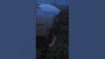 Stegosaurus vs Deinosuchus | The Isle Evrima #theisle #theisleevrima #stegosaurus #dinosaur