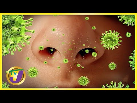 More Jamaicans Should Take the Flu Vaccine | TVJ News - Nov 23 2022
