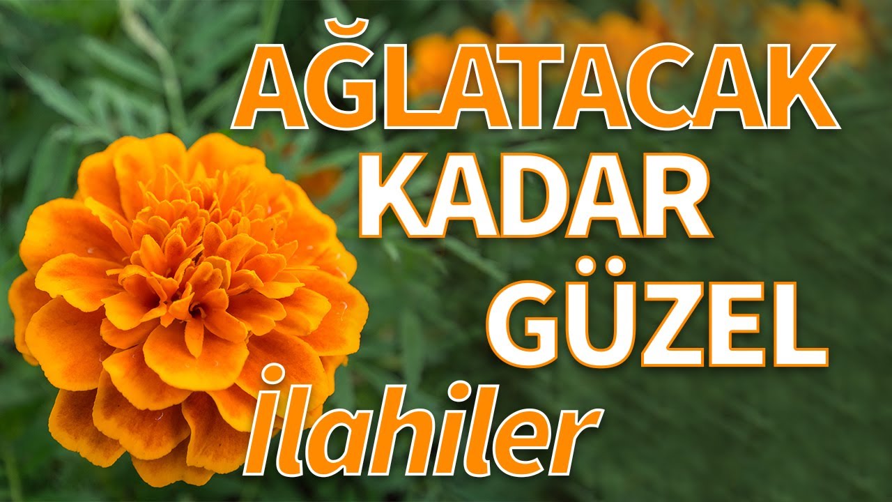 YALAN DÜNYA SENİN NEYİNE GÜLMELİ / GÖZYAŞARTAN HARİKA İLAHİLER