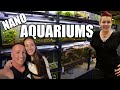 Aquariums unfiltered  episode 1  rachel oleary  the king of diy