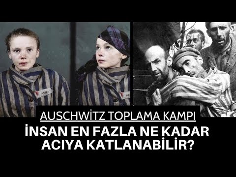 Video: Austin İçindeki En İyi Kahv altı Tacoları