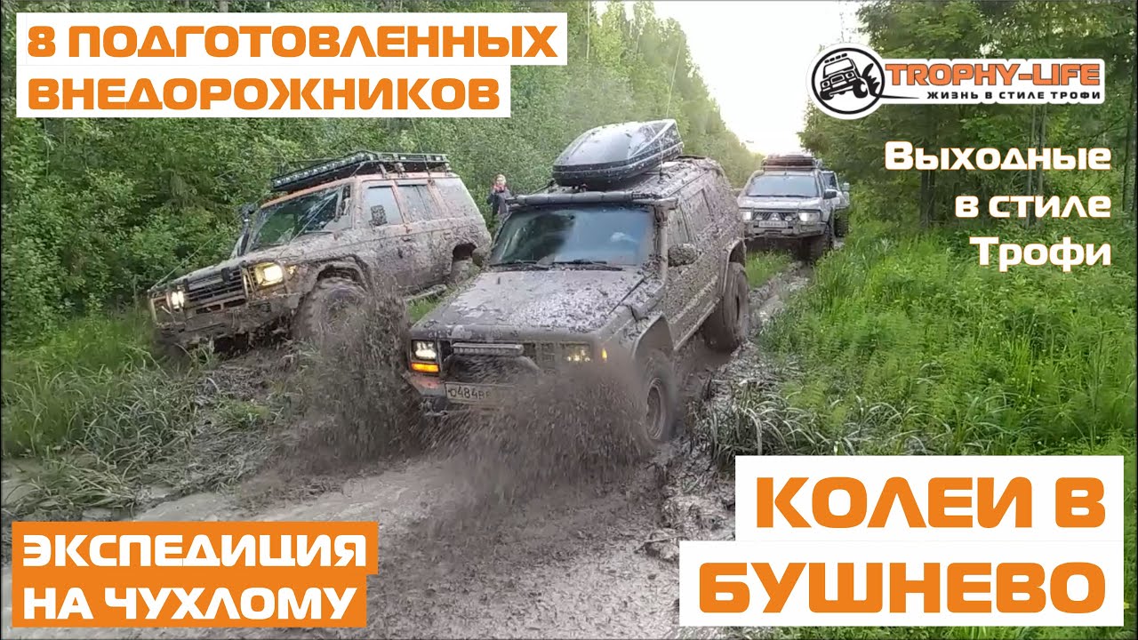 Внедорожники Чухлома 2020 бездорожье Бушнево УАЗ Тойота Паджеро 4х4 ...
