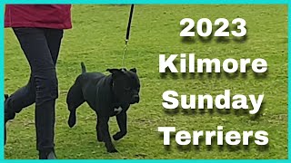 2023 Kilmore Sunday Show  Terriers