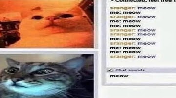 running ultrakill full game everyday until i get a gf (day 109)