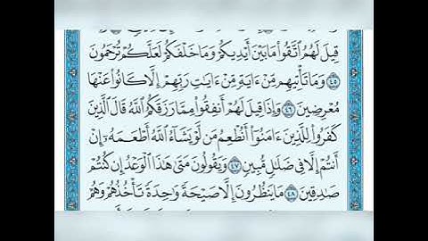 سورة يس من الاية 41 الى الاية 50