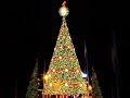 Merry Christmas #christmas #guatemala #city #guatemalacity #light #christmastree #navidad #luces
