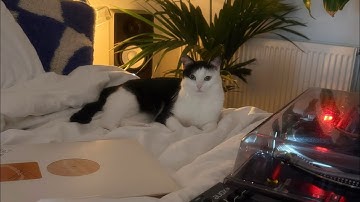 Stay In Bed Vinyl DJ Set - Disco And House - Tatjana Marie 