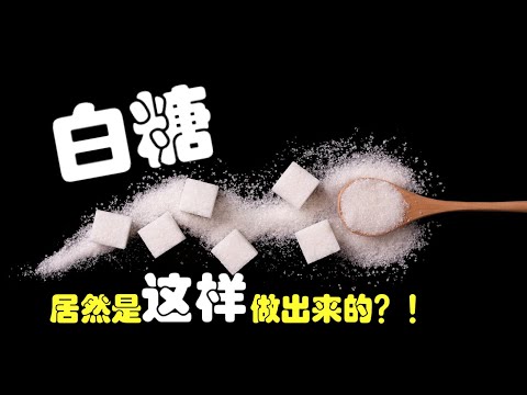 白糖的製作過程原來這麼複雜！  | 【跟著DJ看世界 - 你知道嗎】」