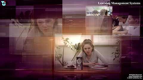 eLearning and Learning Management Systems (2004) - Company History