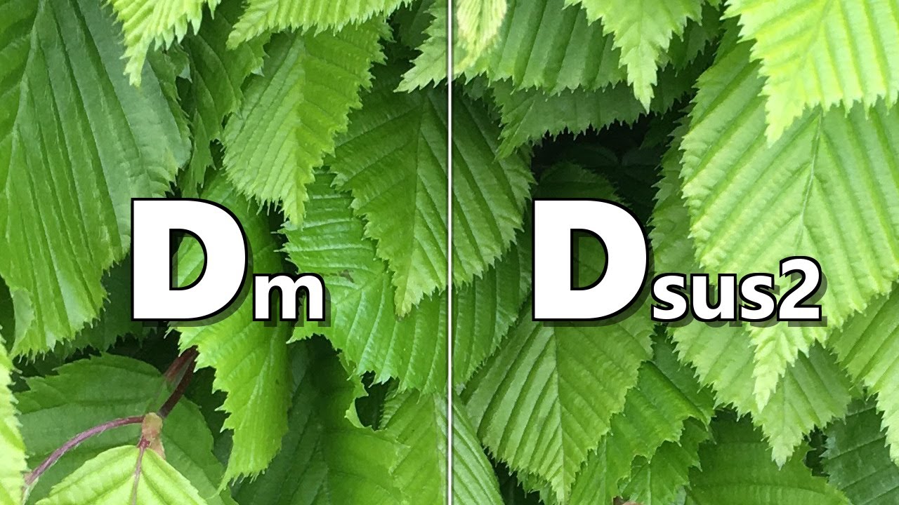 Dm to Dsus2 Backing Track