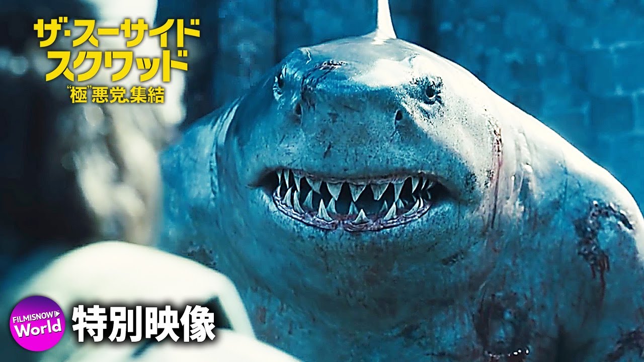 映画『ザ・スーサイド・スクワッド “極”悪党、集結』特別映像