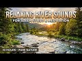 Tranquil Forest River And Soft Waterfall 💧 Peaceful Gentle Stream For Deep Sleep