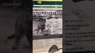 Pet Supplies Plus Adoption Event - 3/10