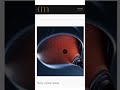 Launch Your Wine Shop Website Today