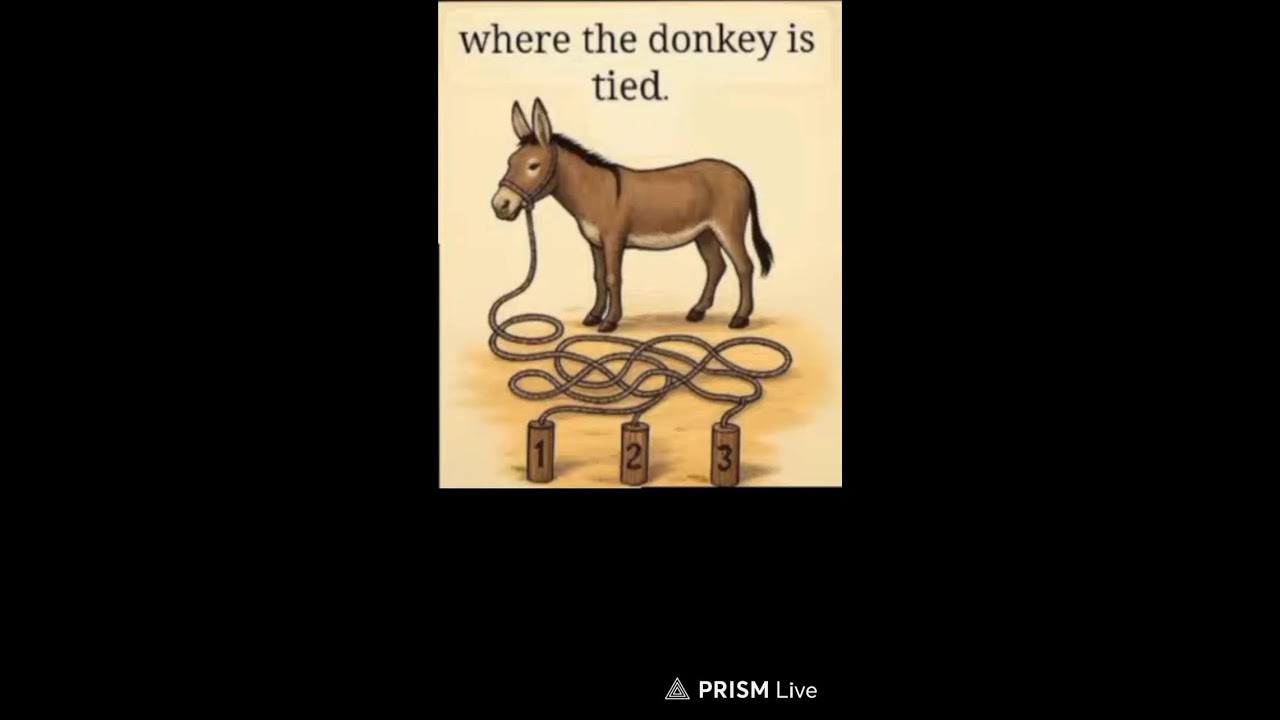 Let's see who becomes today's Maths Master!